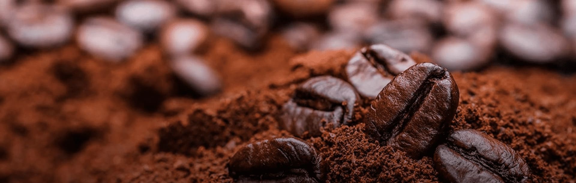 Foto ilustrativa de grãos de café torrado e moído